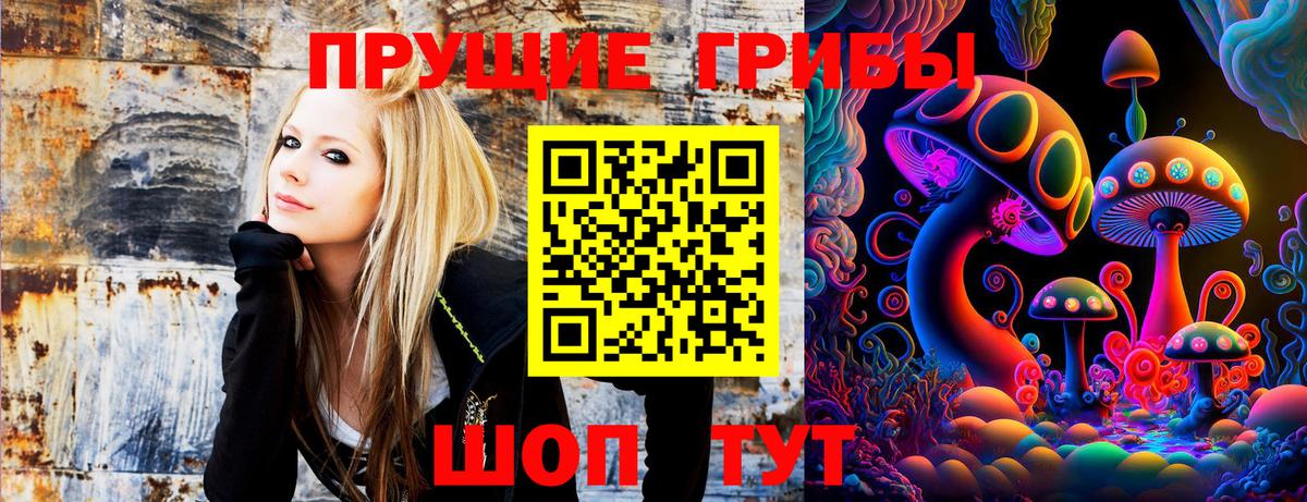 купить наркотик  Псилоцибиновые грибы мицелий  Вход с VPN  Ачхой-Мартан 