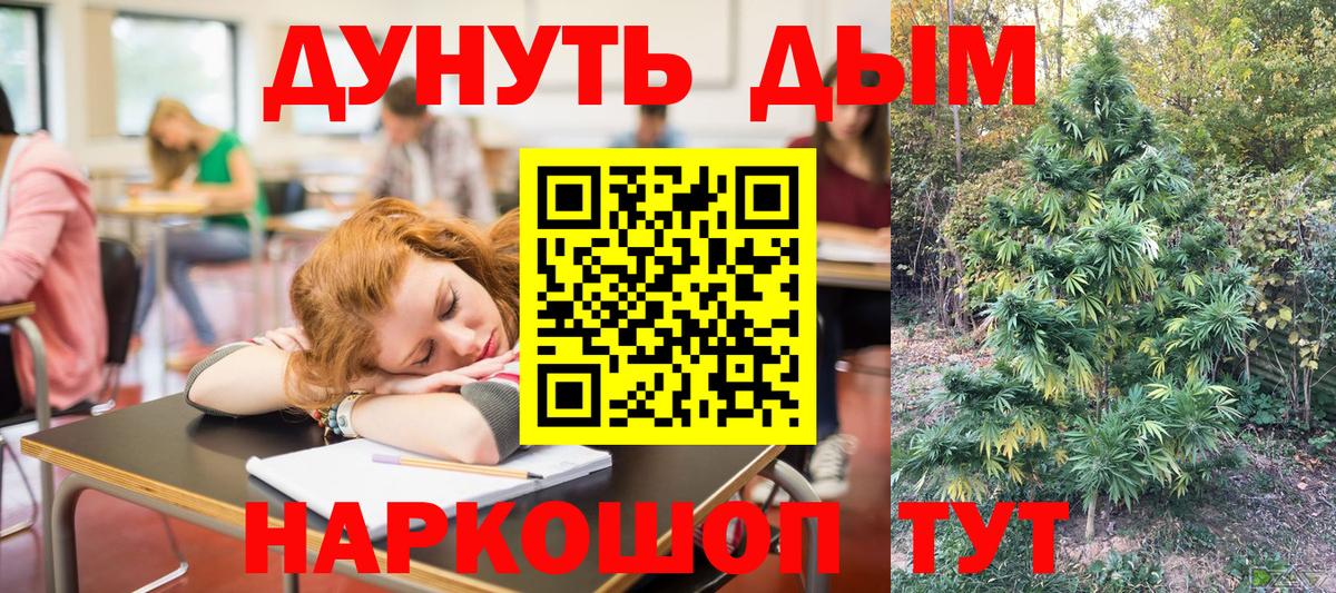 Канабис план Ачхой-Мартан